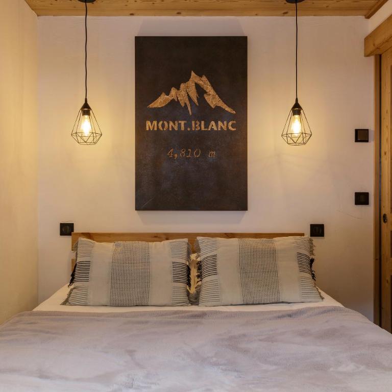 Vouvy - Moderne 4pax Remontee Flegere 5min Praz Arve - Apartment - 3