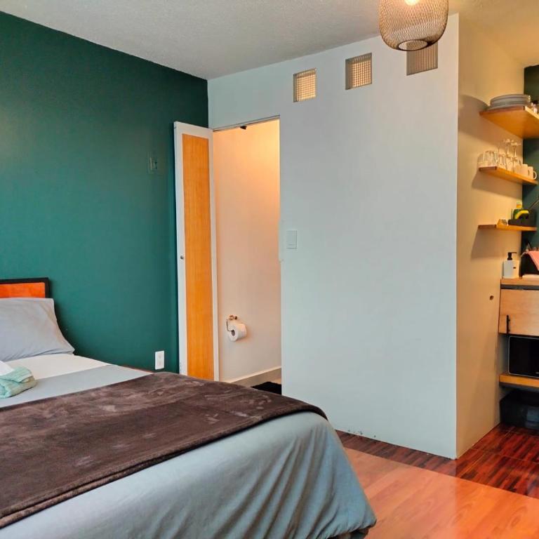 Bright Studio Apartment Casa Icacos Apt 2 - One-Bedroom Apartment - 18