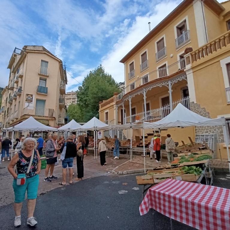 Apt 8, 2ème étage, charmant studio climatisé, tout confort avec terrasse ensoleillée plein sud - Apartment mit 1 Schlafzimmer - 8