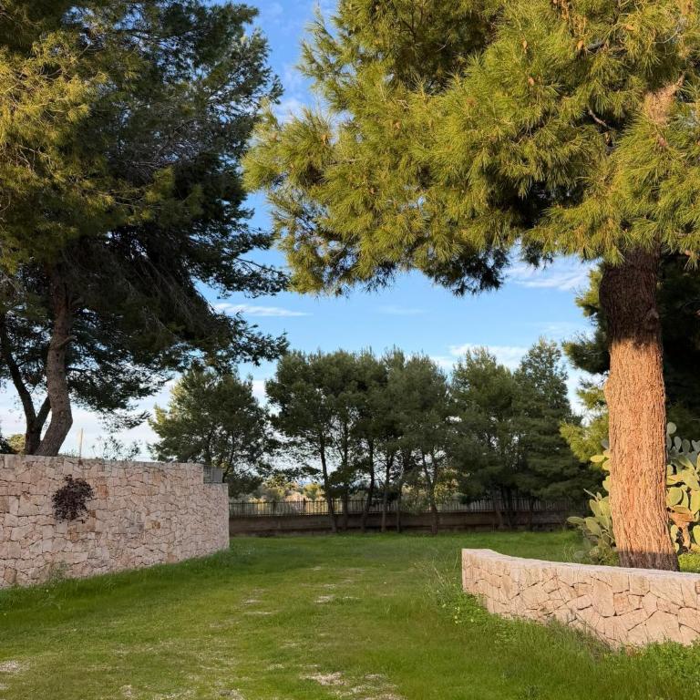 Villa Falesia, Capitolo, Monopoli - Casa con 3 Camere da Letto - 16