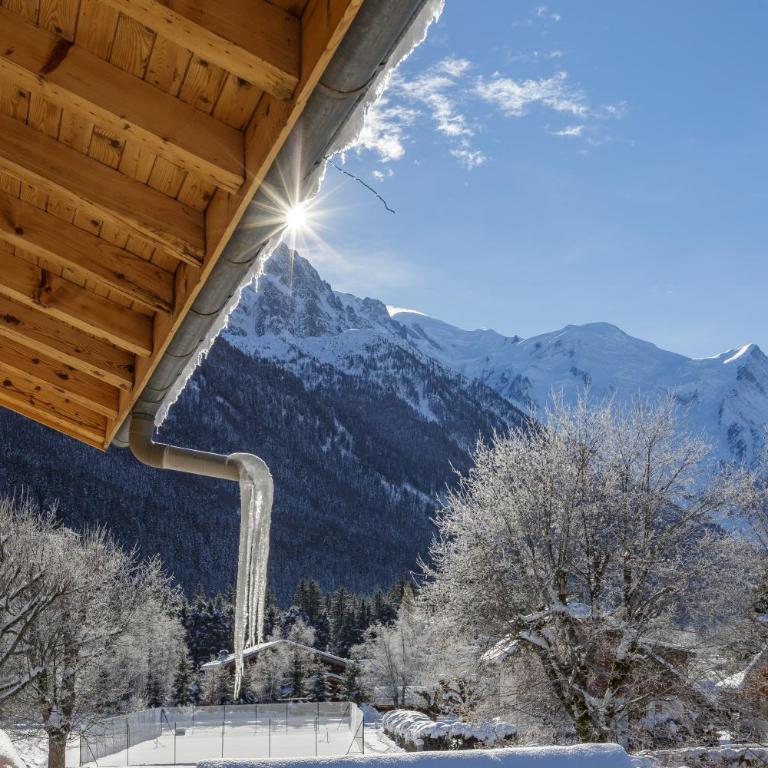 Cyclamens - Cosy Chalet 500m Flegere Cheminee Vue Garage - Maison de Vacances - 27