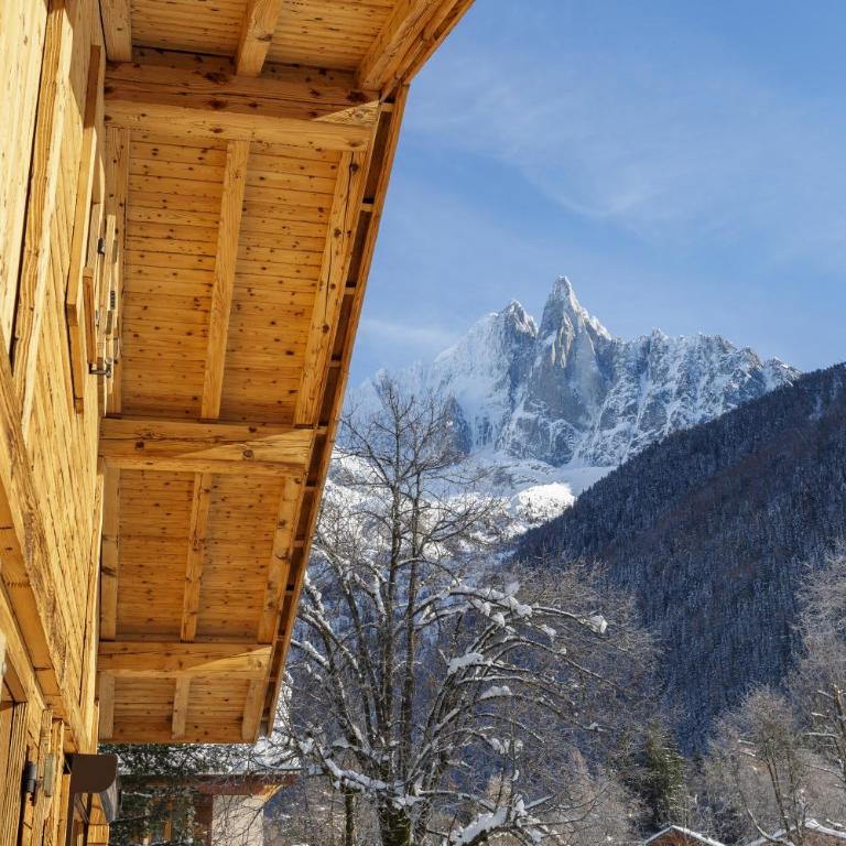Cyclamens - Cosy Chalet 500m Flegere Cheminee Vue Garage - Maison de Vacances - 13