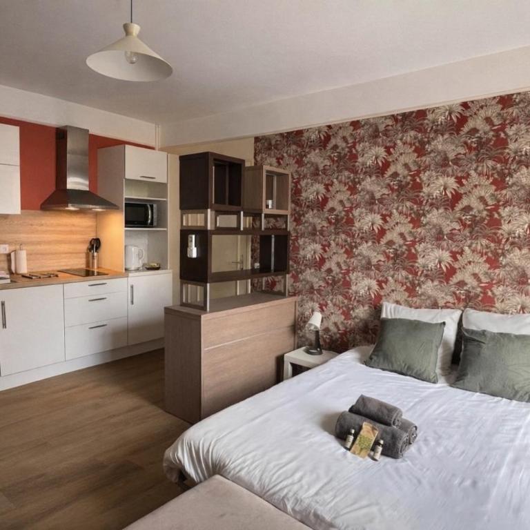 Le Tassigny #Central #Quiet #Air conditioning #Wifi - Appartement 1 Chambre - 1