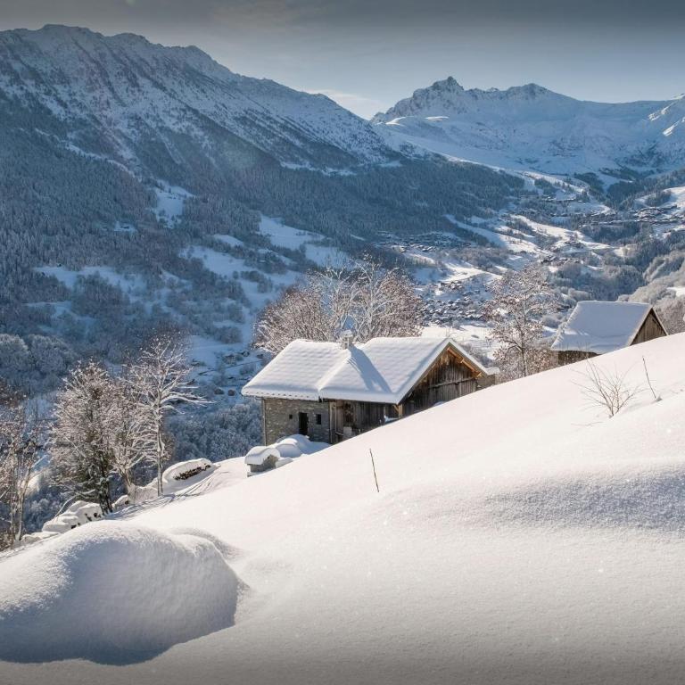 Chalet Confidentiel - OVO Network - Chalet - 21