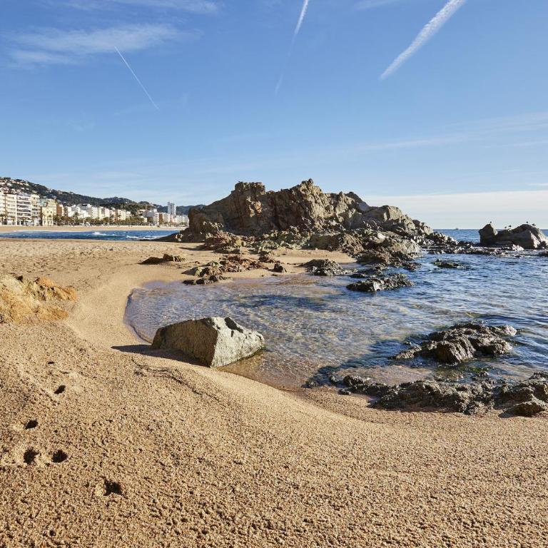 Vivalidays Alicia - Fenals - Lloret de Mar - Apartamento de 2 dormitorios - 43