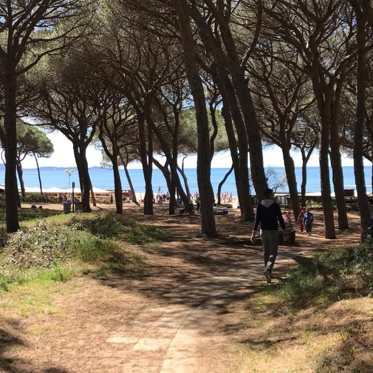 appartamento con Giardino a due passi dal mare - Appartamento con 1 Camera da Letto - 33
