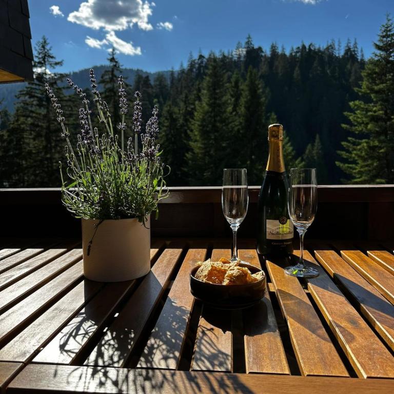 HappyLaax - Panoramic Penthouse - Pool, Sauna & Private Parking - Penthouse-Apartment - 21