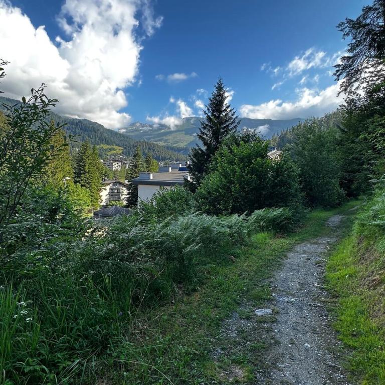 HappyLaax - Panoramic Penthouse - Pool, Sauna & Private Parking - Penthouse-Apartment - 62