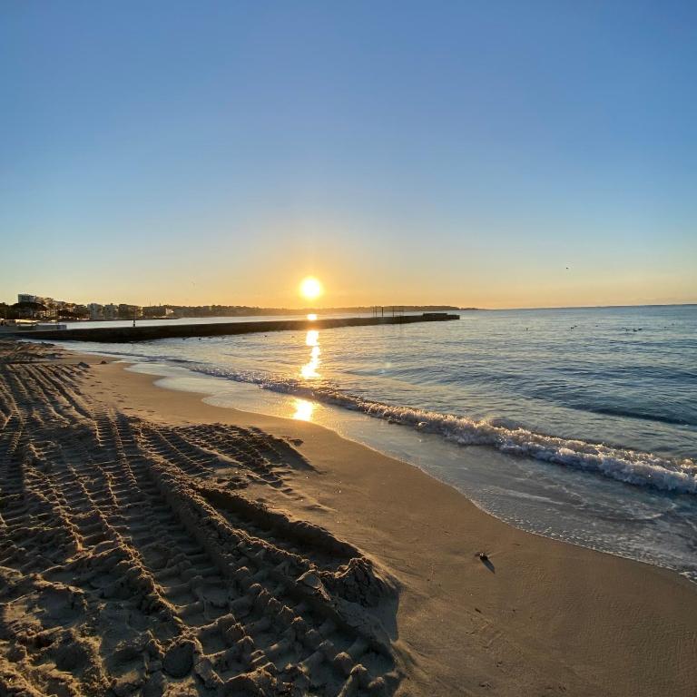 Nouveau ! au centre de Juan, Studio climatisé rénové tout confort à 2 minutes des plages - Studio - 14