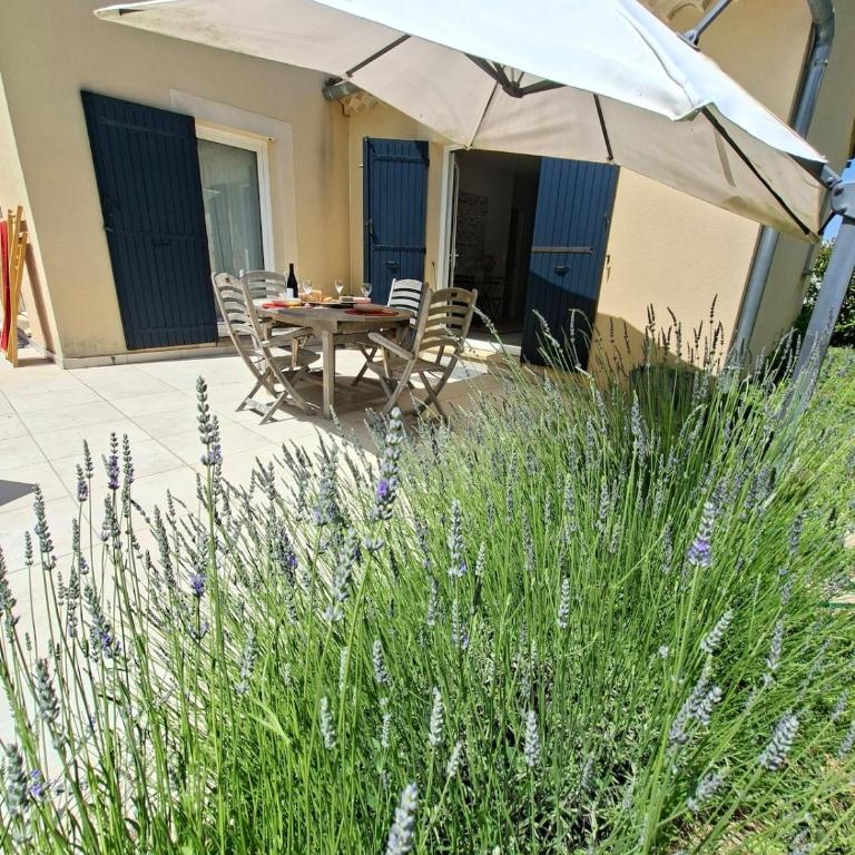 Studio Lumineux avec jardin & piscine à Vaison la Romaine - Appartement 1 Chambre - 32
