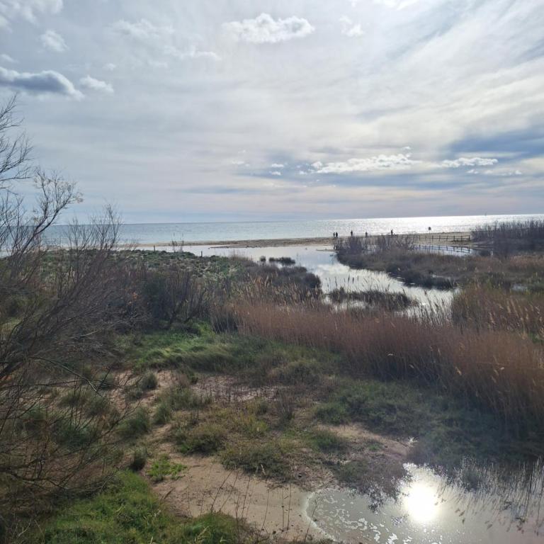 Centrico piso a 5 min de la playa, ac, wifi y parking incluido - Apartamento de 3 dormitorios - 41