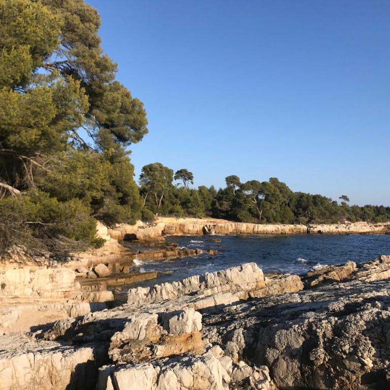 Nouveau ! au centre de Juan, Studio climatisé rénové tout confort à 2 minutes des plages - Studio - 16
