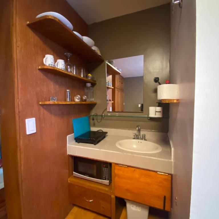 Compact Studio Apartment Casa Icacos Apt 5 - One-Bedroom Apartment - 4