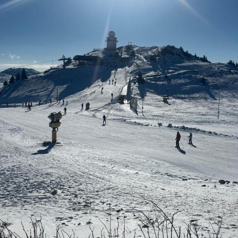 Apartement LUNA Hotel Zlatni javor - One-Bedroom Apartment - 8