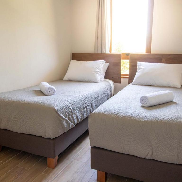 Pucón Nativo Apt with Balcony & Free Prkg - Two-Bedroom Apartment - 17