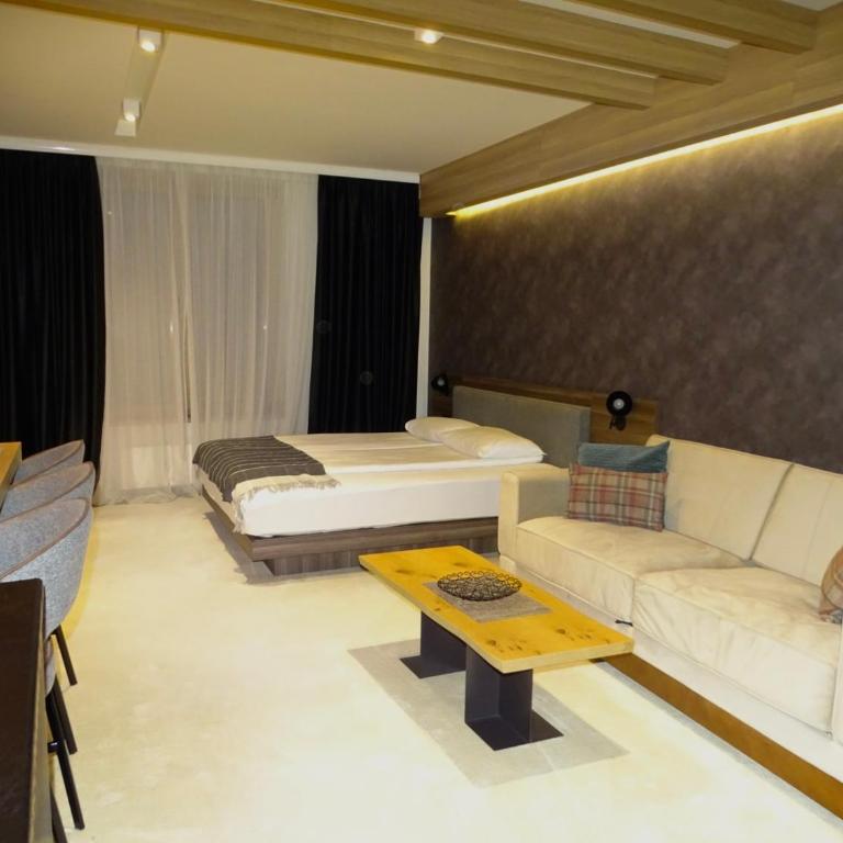 Woodside Kopaonik 212 - One-Bedroom Apartment - 3