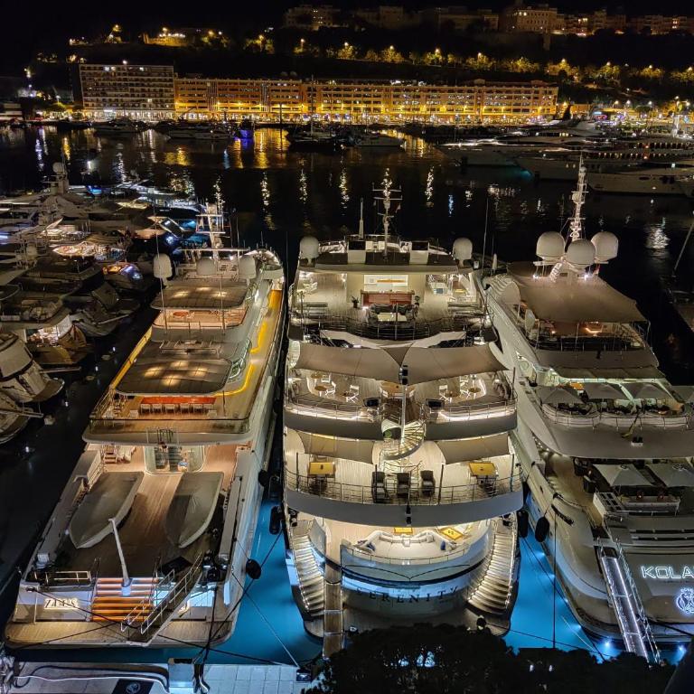 Le Coq Caroline - AC - Terrace - Border of Monaco - One-Bedroom Apartment - 31
