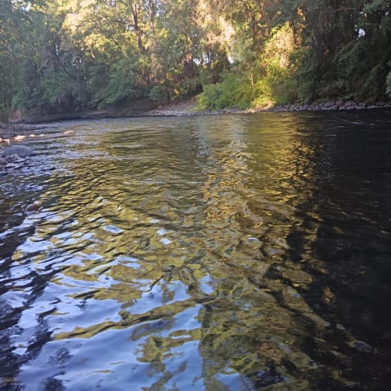 Casa en Ñancul-Villarrica - One-Bedroom House - 16