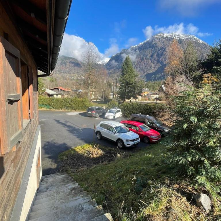 Tiny Chalet - near to Servoz train station - Chalet 2 Chambres - 2