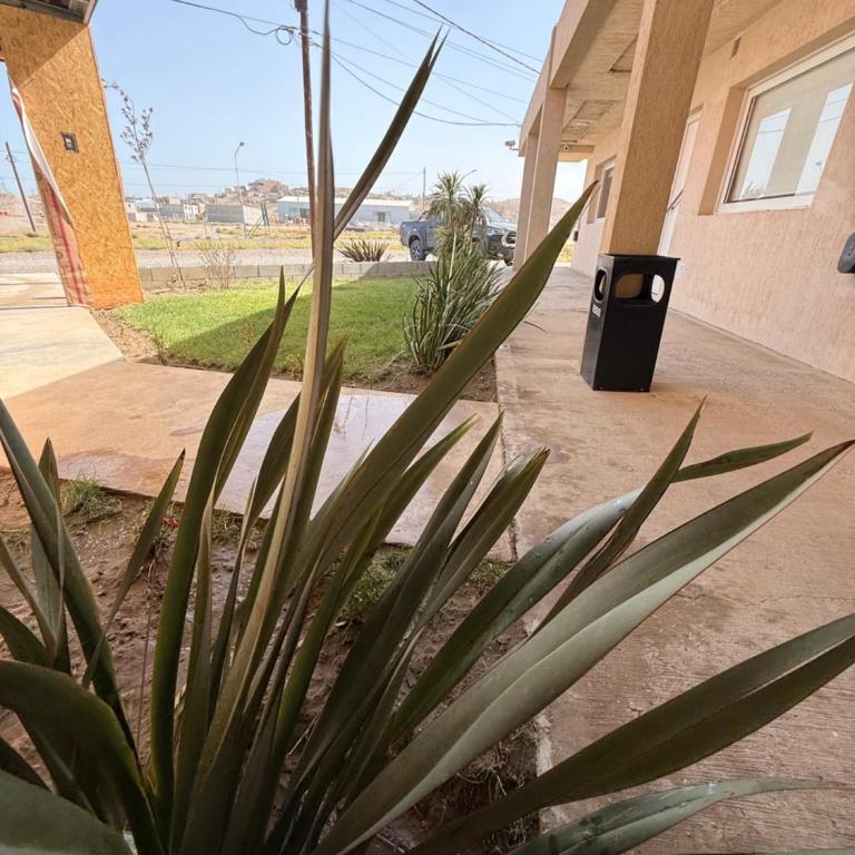 La Clementina Apart - Apartamento Deluxe de 1 dormitorio - 3