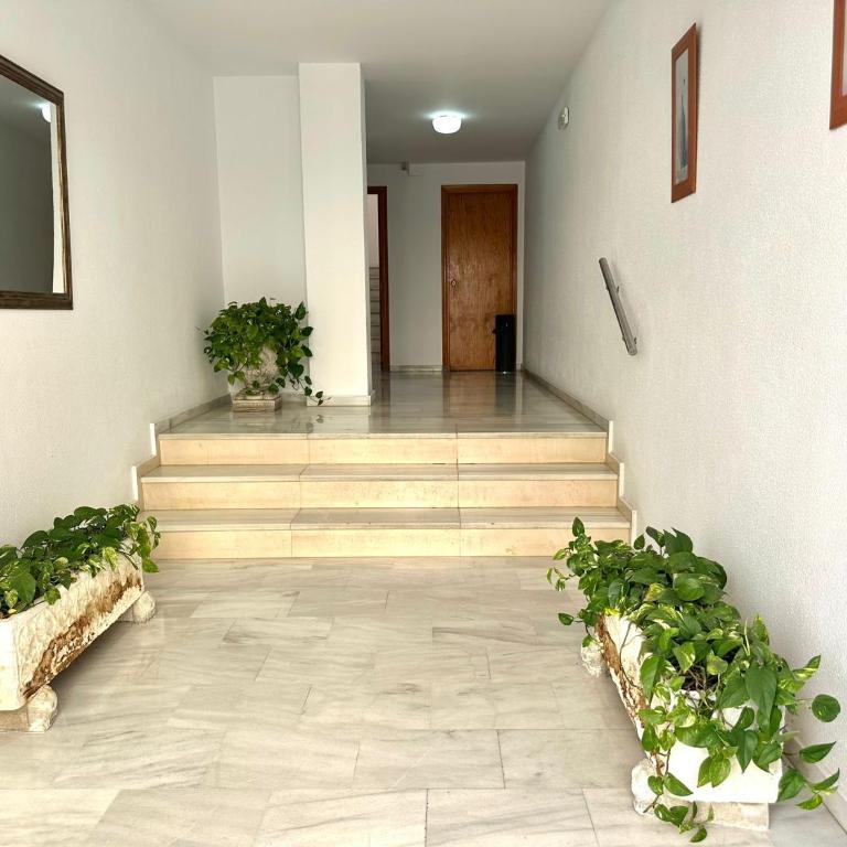 Apartamento Plaza Toros - Apartamento con terraza - 10