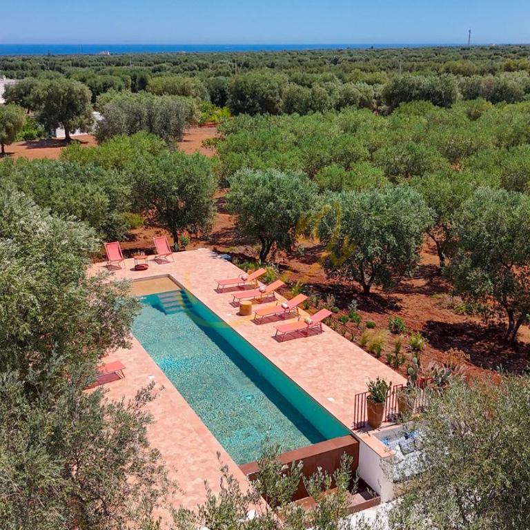 TD Lamia Porta Rossa Countryside wOlive Trees - Vacation Home - 3