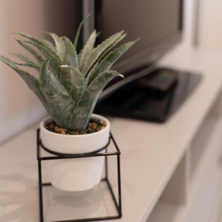 Alloggio Viola - Gionic Apartments Bologna - One-Bedroom Apartment - 23