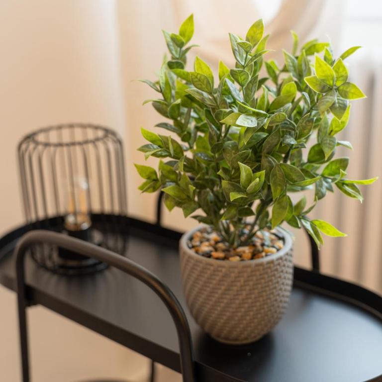 Alloggio Viola - Gionic Apartments Bologna - One-Bedroom Apartment - 28