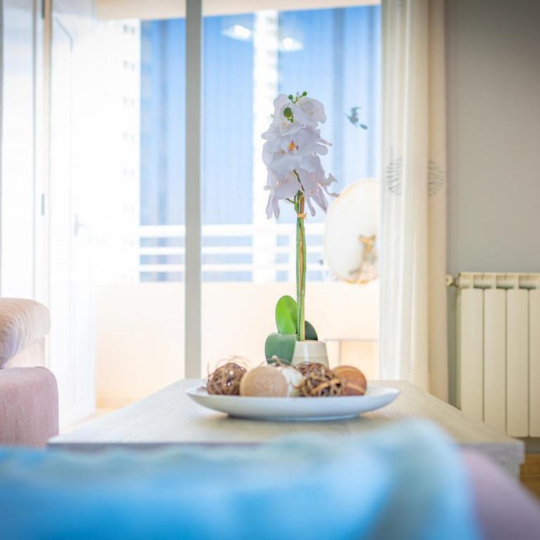 Apartamento Terrazas del Arenal - Plusholidays - Apartamento con vistas - 19