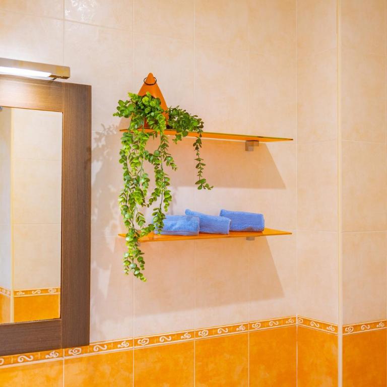 Apartamento Terrazas del Arenal - Plusholidays - Apartamento con vistas - 39