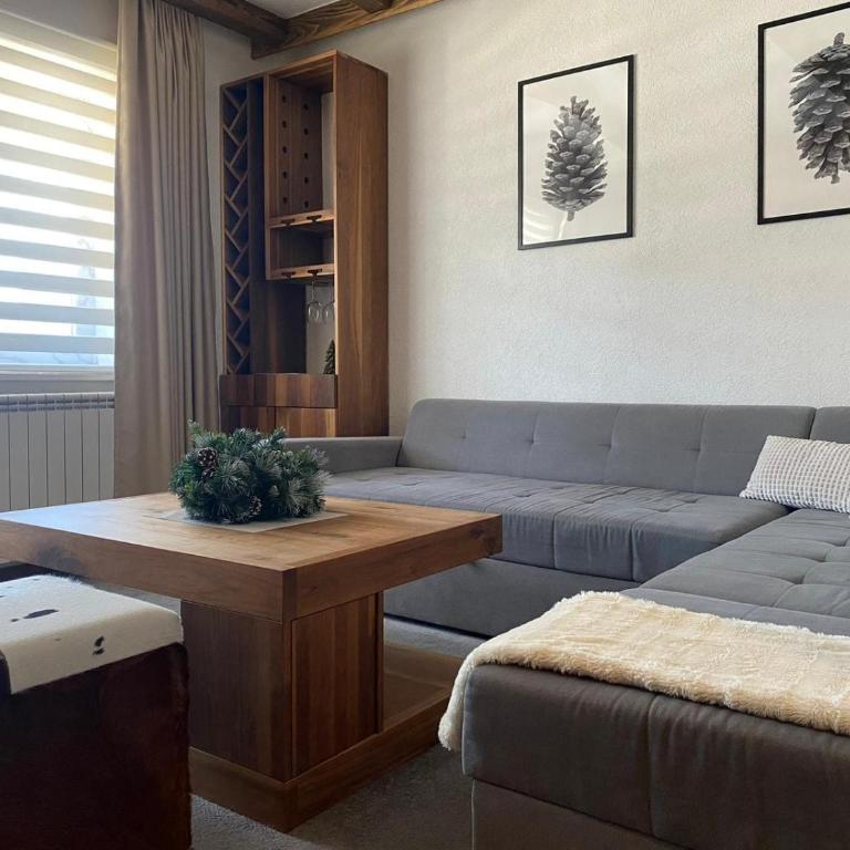 Apartmani Jeca - One-Bedroom Apartment - 5