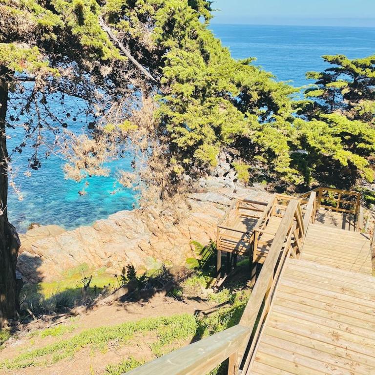 Cabin with Ocean View and Private Access to Rocks - Three-Bedroom House - 19