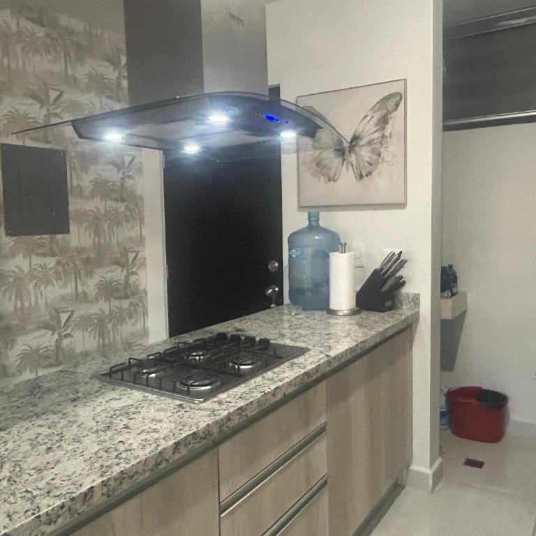 Depa Palmeras Adora Mazatlán - Apartamento de 2 dormitorios - 33