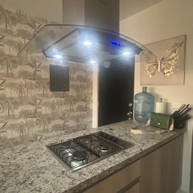 Depa Palmeras Adora Mazatlán - Apartamento de 2 dormitorios - 28