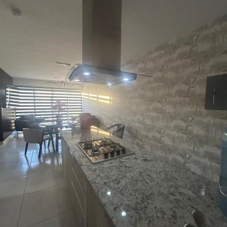 Depa Palmeras Adora Mazatlán - Apartamento de 2 dormitorios - 41