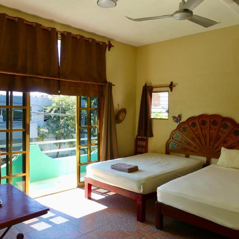 Jungle Palace hostel santaella - Habitación Familiar con vistas al jardín - 7