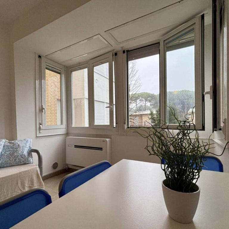 Two-room flat close to the beach and the center - Appartement - 1