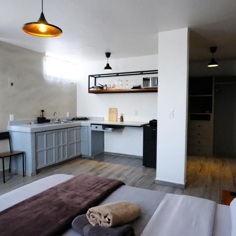 Comfortable Studio Apartment Casa Icacos Apt 7 - One-Bedroom Apartment - 10