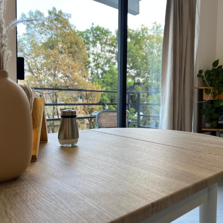 1BR Apt in Roma Sur near Parque Delta - One-Bedroom Apartment - 3