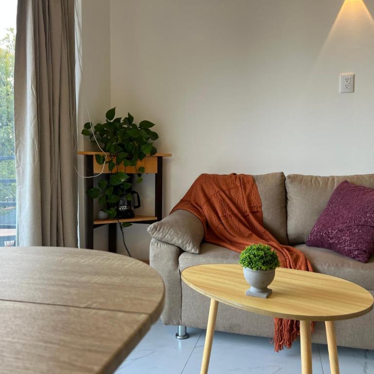 1BR Apt in Roma Sur near Parque Delta - One-Bedroom Apartment - 12