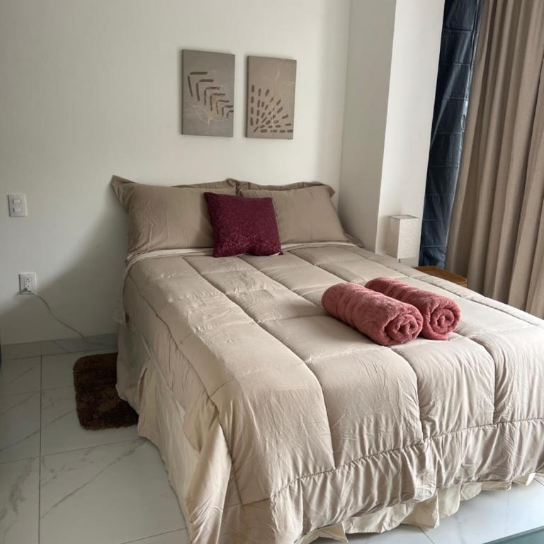 1BR Apt in Roma Sur near Parque Delta - One-Bedroom Apartment - 24