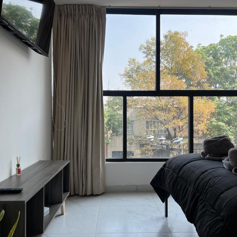 1BR Apt in Roma Sur near Parque Delta - One-Bedroom Apartment - 19