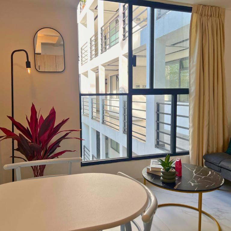 1BR Apt in Roma Sur near Parque Delta - One-Bedroom Apartment - 20