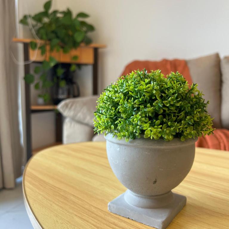 1BR Apt in Roma Sur near Parque Delta - One-Bedroom Apartment - 34