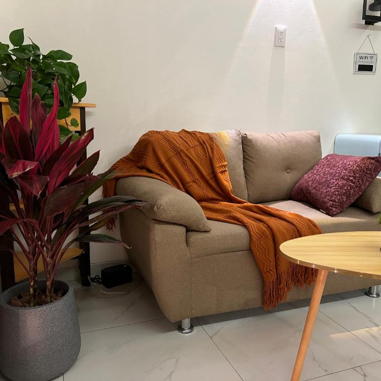 1BR Apt in Roma Sur near Parque Delta - One-Bedroom Apartment - 35