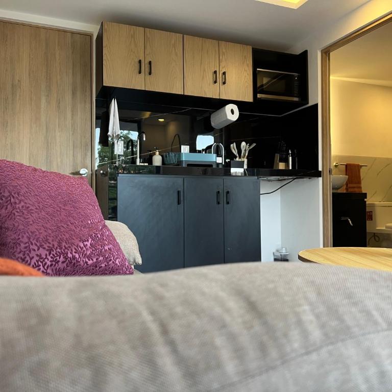 1BR Apt in Roma Sur near Parque Delta - One-Bedroom Apartment - 38