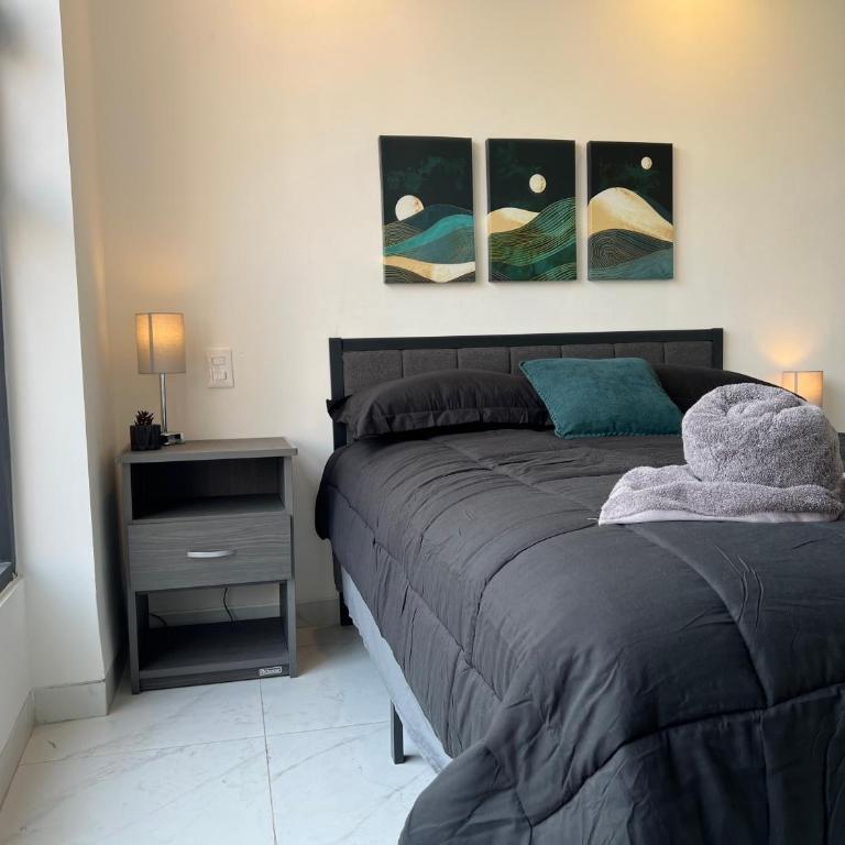 1BR Apt in Roma Sur near Parque Delta - One-Bedroom Apartment - 30