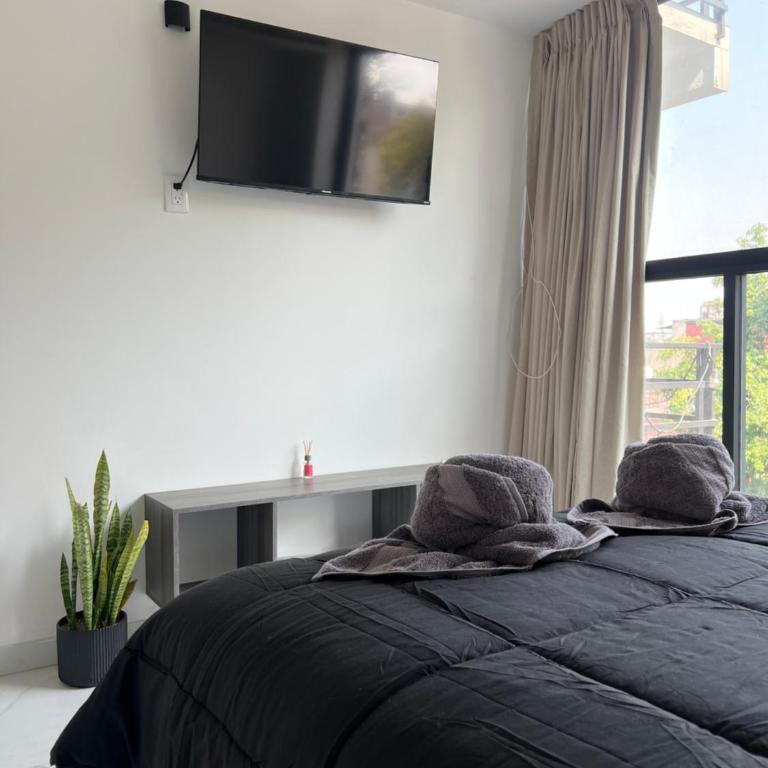 1BR Apt in Roma Sur near Parque Delta - One-Bedroom Apartment - 37