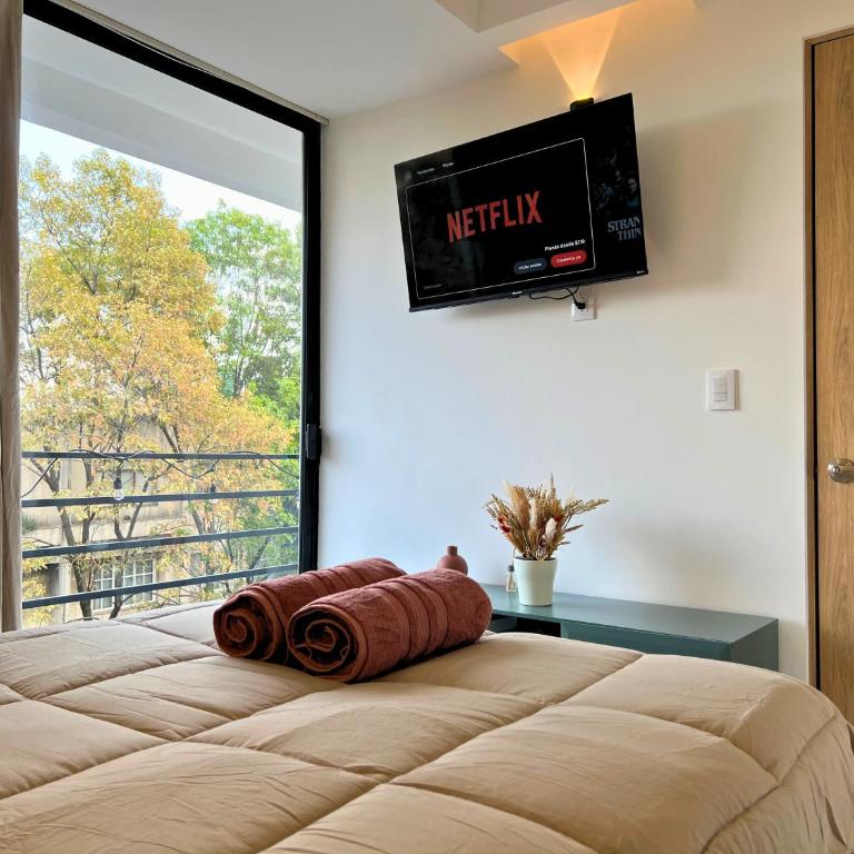 1BR Apt in Roma Sur near Parque Delta - One-Bedroom Apartment - 52