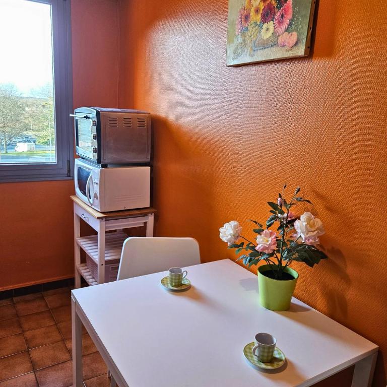 ''Les Arènes'' - WIFI - DRAPS - THERMES - Appartement 1 Chambre - 15